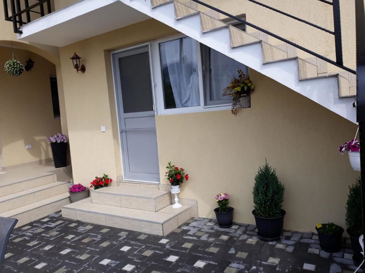 Проживание в семье CASA LUISA Кэлимэнешти-9